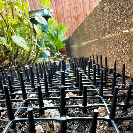 Prickle Strip Cat Scat Mat for Garden 200cm*30cm Plastic Cat Spikes Deterrent Plant Protective Net for Outdoor Garden and Flowers U-Shaped Pegs Included