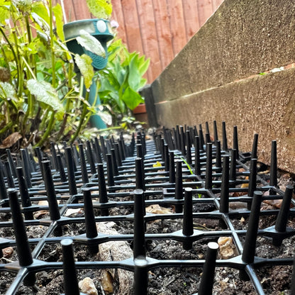 Prickle Strip Cat Scat Mat for Garden 200cm*30cm Plastic Cat Spikes Deterrent Plant Protective Net for Outdoor Garden and Flowers U-Shaped Pegs Included