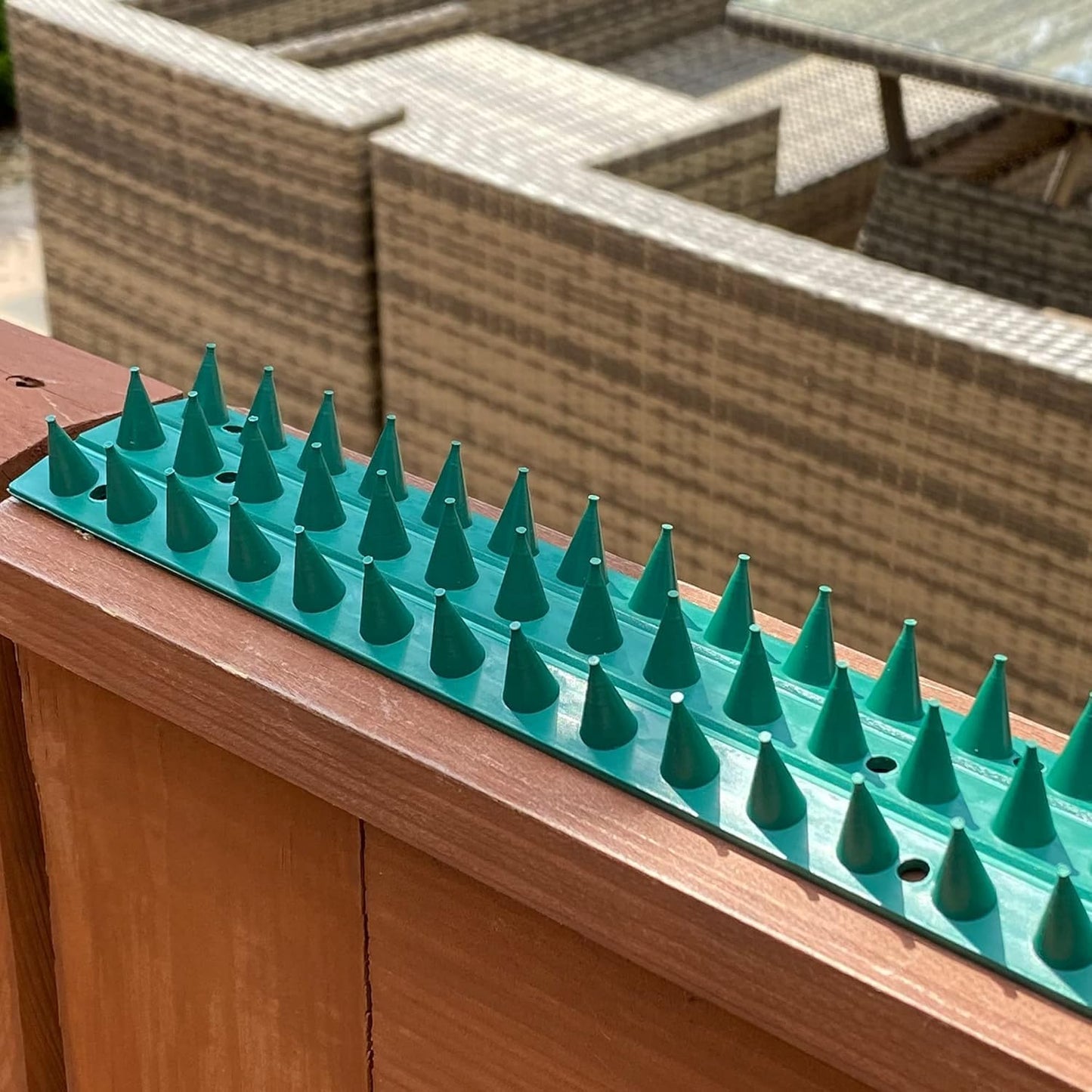 S4U Fence Wall Spikes Garden Security Guard Anti Climb Cat Bird Spikes Intruder Pest Deterrent 50 x 4.5 x 1.5cm Warning Sign & Screws Included