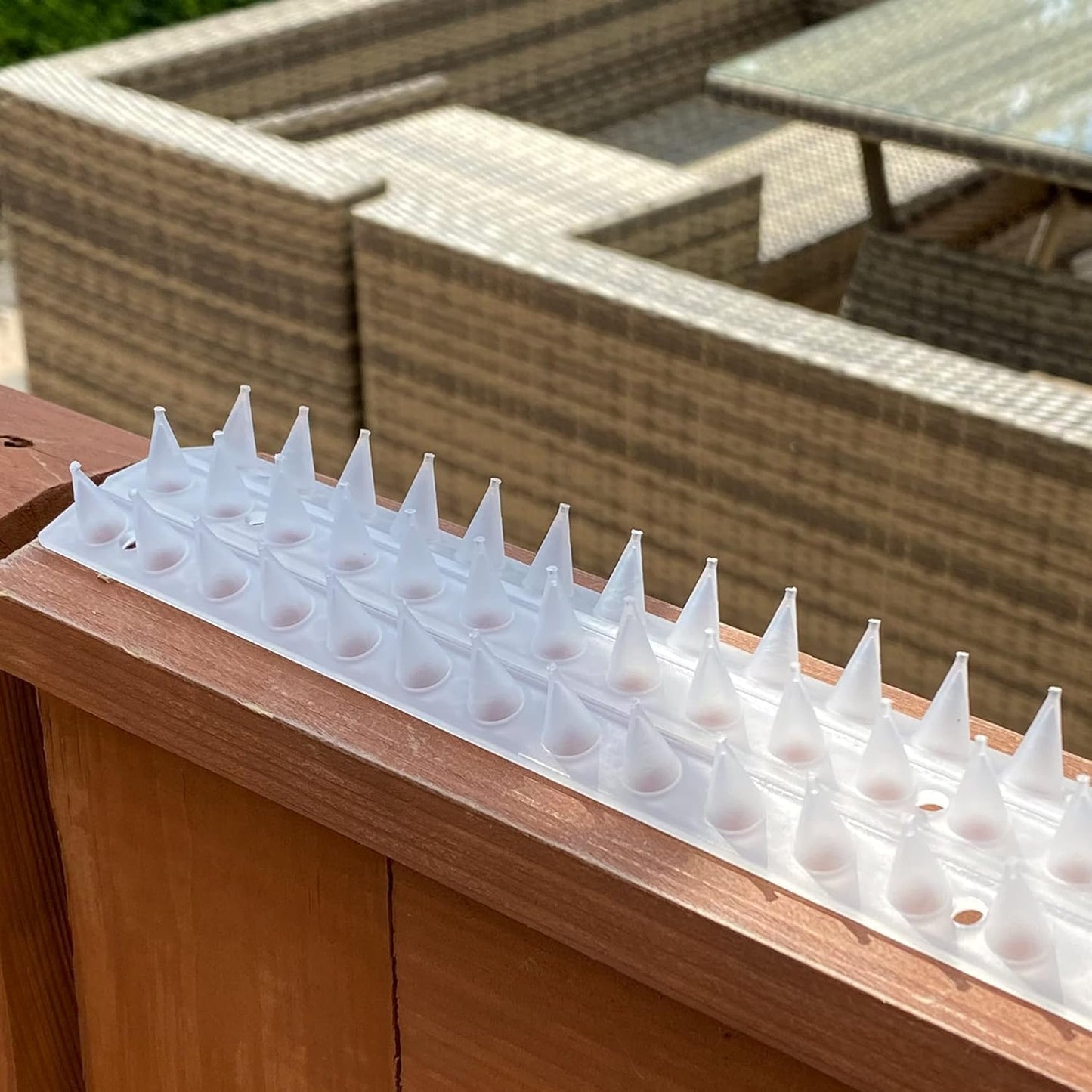 S4U Fence Wall Spikes Garden Security Guard Anti Climb Cat Bird Spikes Intruder Pest Deterrent 50 x 4.5 x 1.5cm Warning Sign & Screws Included